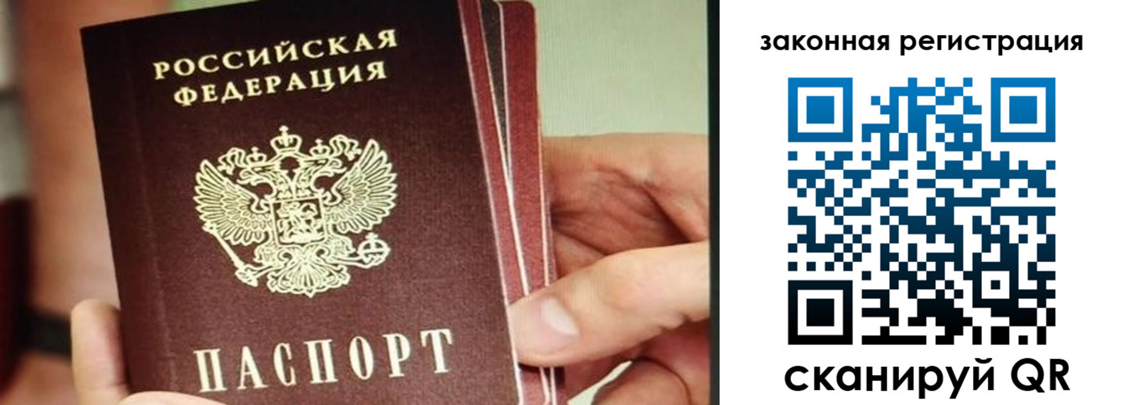 миграционный учет в Владимирской области